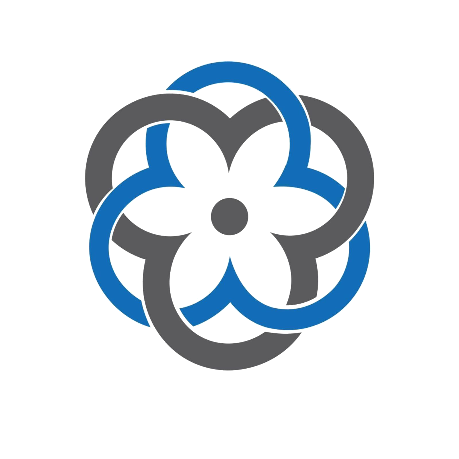 صورة رئيس مجلس الإدارة